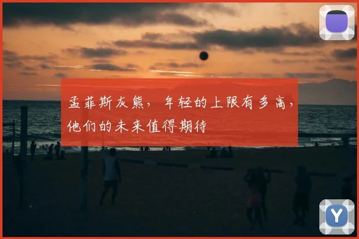 孟菲斯灰熊，年轻的上限有多高，他们的未来值得期待