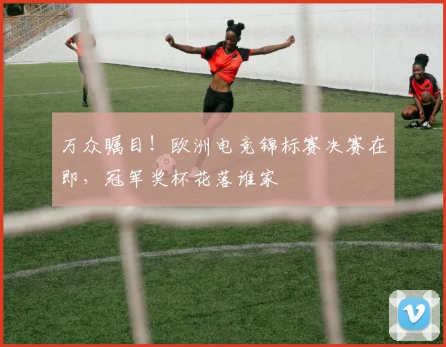 万众瞩目！欧洲电竞锦标赛决赛在即，冠军奖杯花落谁家