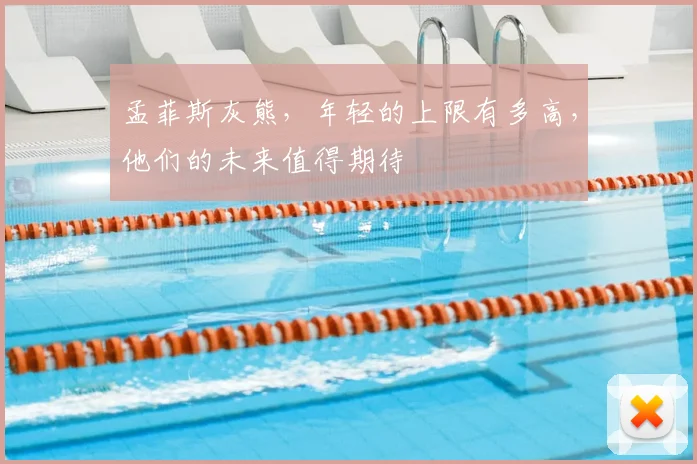 孟菲斯灰熊,年轻的上限有多高,他们的未来值得期待